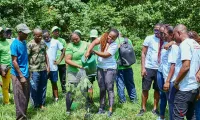 planting-au-jardin-botanique