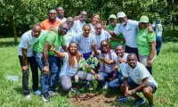 botanical-garden-planting