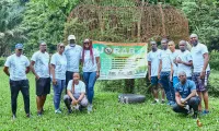 botanical-garden-planting