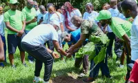 botanical-garden-planting